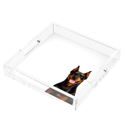 Doberman Dog Acrylic Decorative Tray, right three-quarter, by Nicolette Mayer