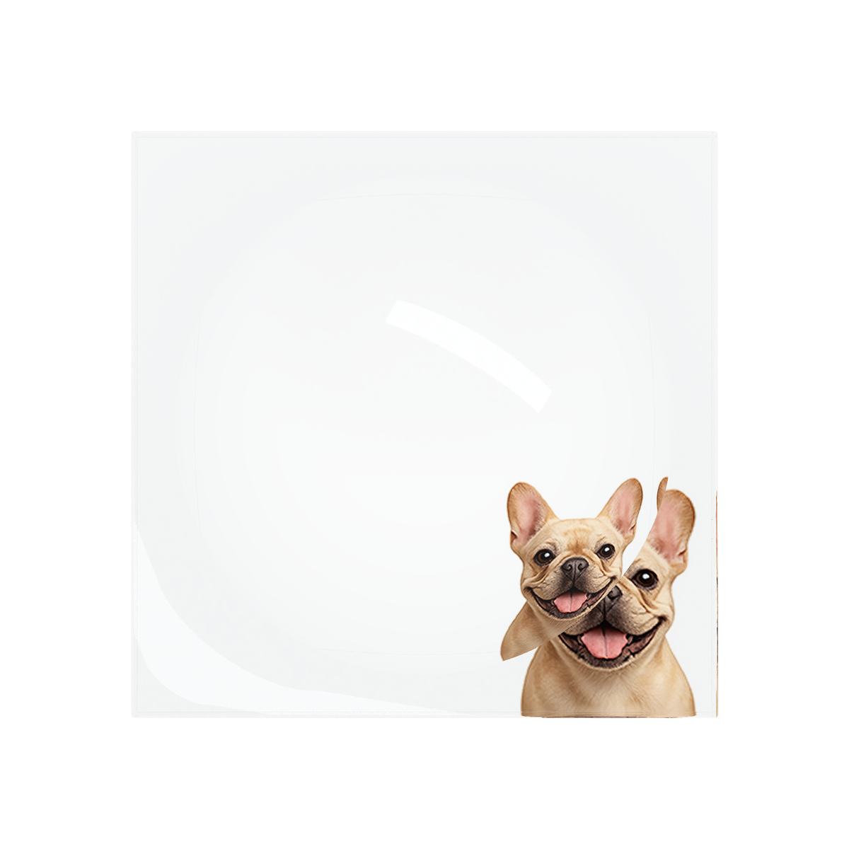 French Bulldog Acrylic Candy Catchall Dish, overhead, by Nicolette Mayer