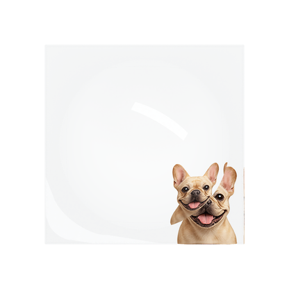 French Bulldog Acrylic Candy Catchall Dish, overhead, by Nicolette Mayer