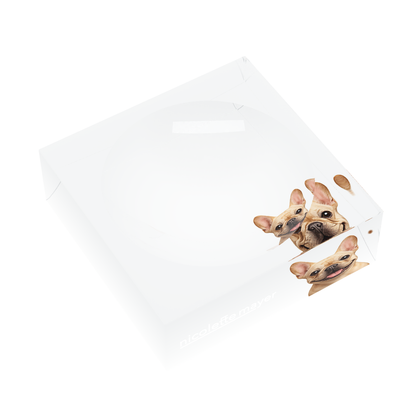French Bulldog Acrylic Candy Catchall Dish, left three-quarter, by Nicolette Mayer