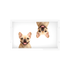 French Bulldog Acrylic Rectangle Tray, overhead, by Nicolette Mayer