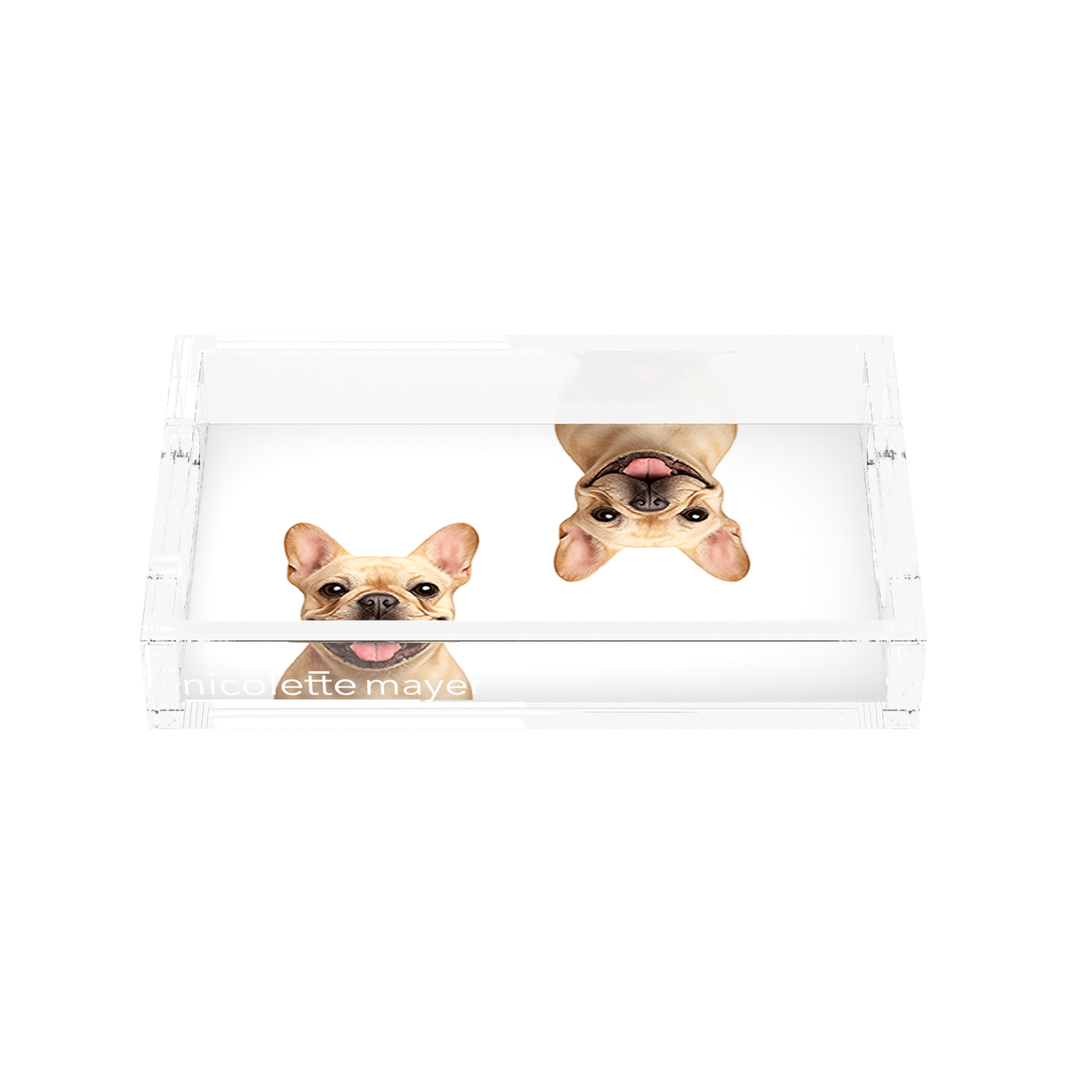 French Bulldog Acrylic Rectangle Tray, front, by Nicolette Mayer