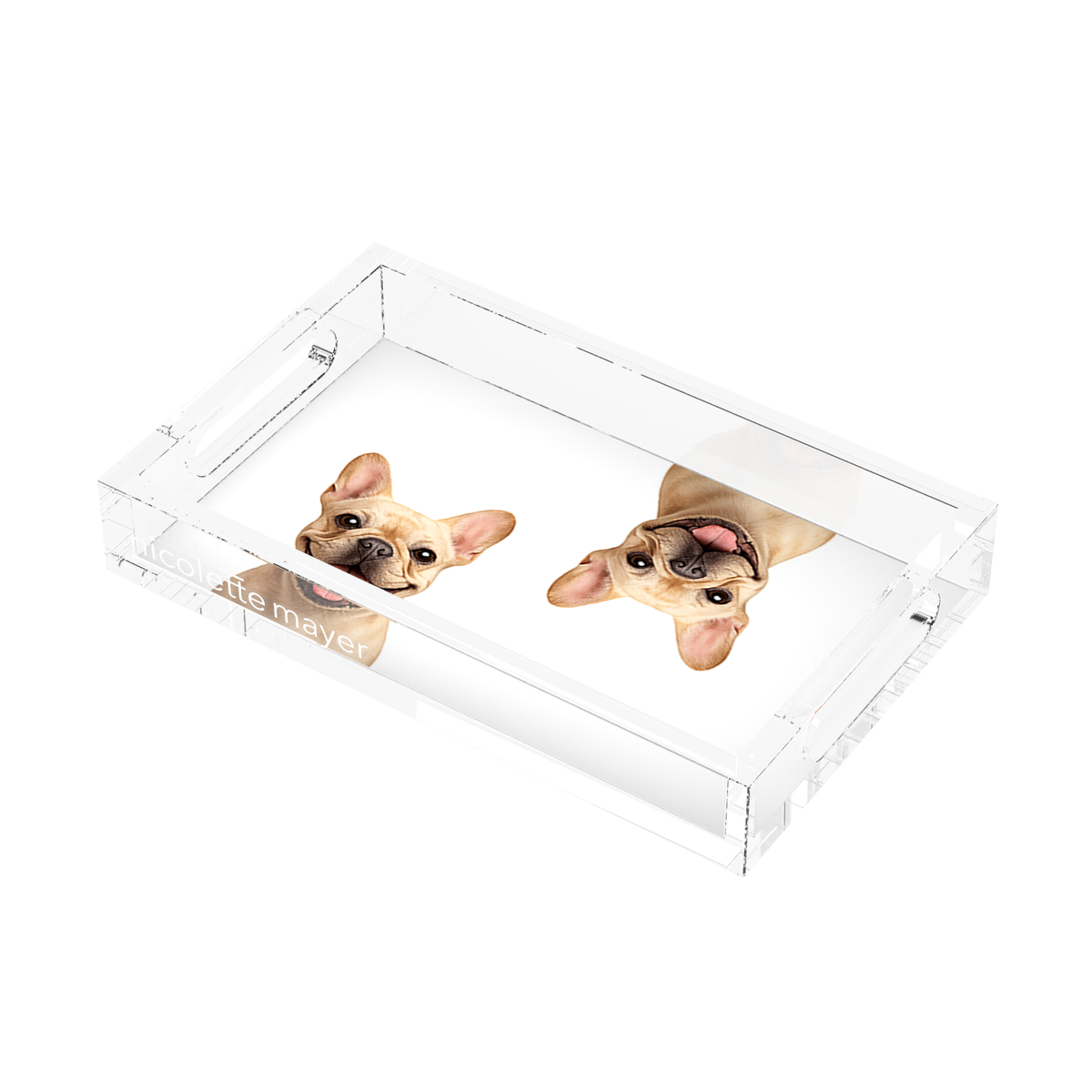 French Bulldog Acrylic Rectangle Tray, right three-quarter, by Nicolette Mayer