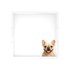 French Bulldog Acrylic Decorative Tray, overhead, by Nicolette Mayer