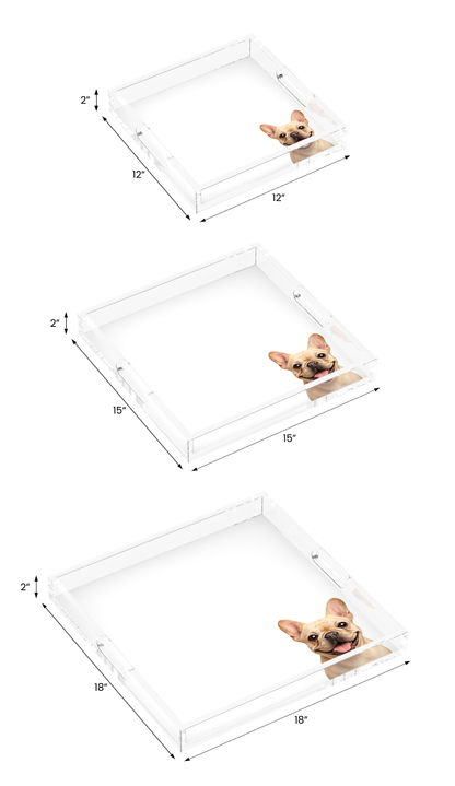 French Bulldog Acrylic Decorative Tray, all three sizes, by Nicolette Mayer