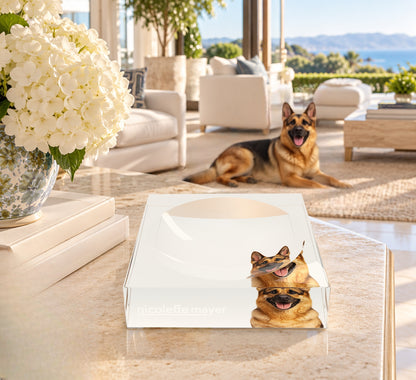 German Shepherd Dog Acrylic Candy Catchall Dish, on a coffee table, by Nicolette Mayer