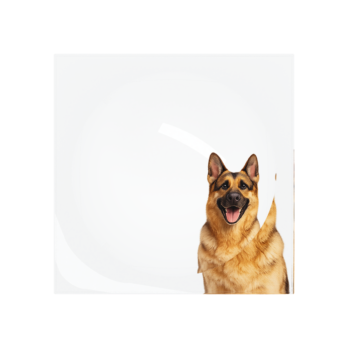 German Shepherd Dog Acrylic Candy Catchall Dish, overhead, by Nicolette Mayer