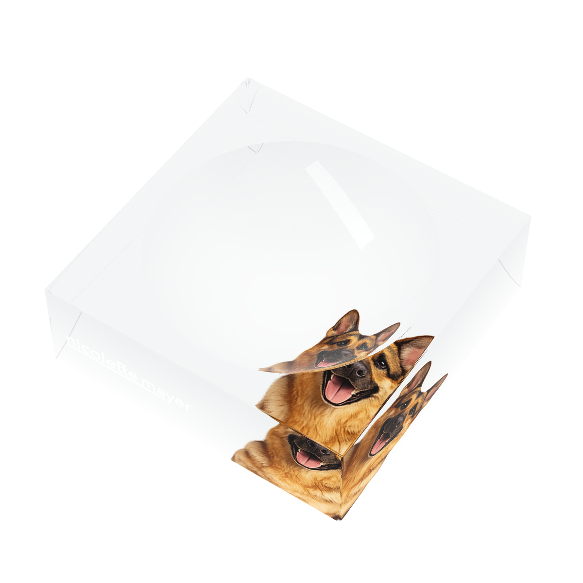 German Shepherd Dog Acrylic Candy Catchall Dish, right three-quarter, by Nicolette Mayer
