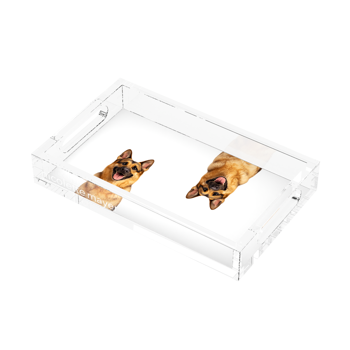 German Shepherd Dog Acrylic Rectangle Tray, right three-quarter, by Nicolette Mayer