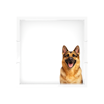 German Shepherd Dog Acrylic Decorative Tray, overhead, by Nicolette Mayer