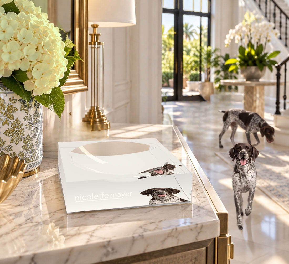 German Shorthaired Pointer Dog Acrylic Candy Catchall Dish, on an entry console, by Nicolette Mayer