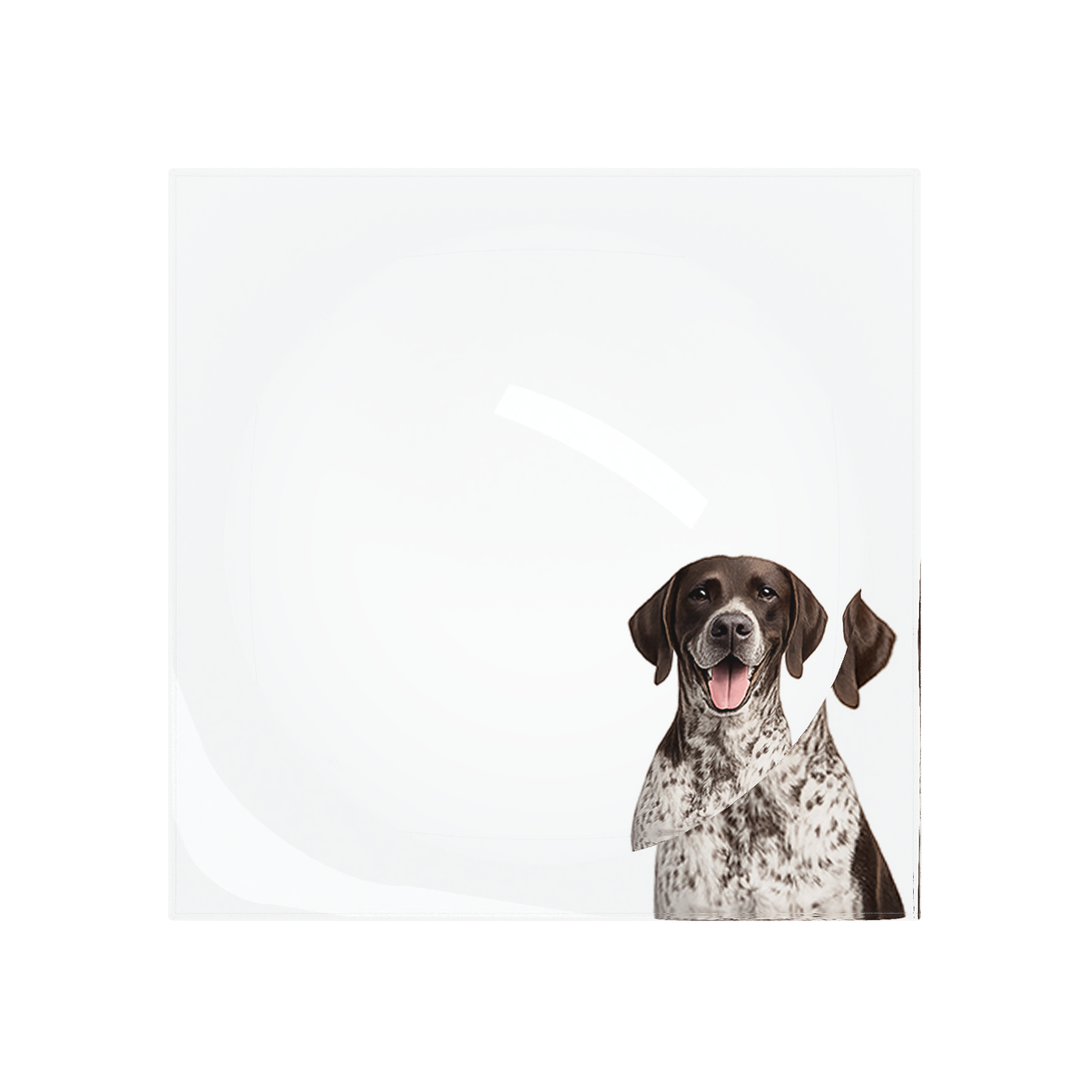 German Shorthaired Pointer Dog Acrylic Candy Catchall Dish, overhead, by Nicolette Mayer