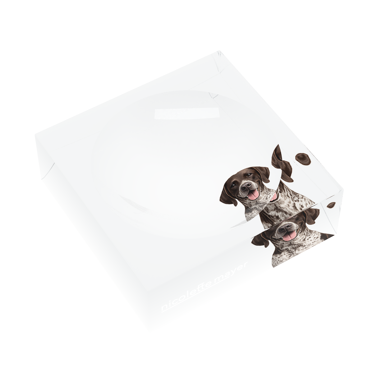 German Shorthaired Pointer Dog Acrylic Candy Catchall Dish, left three-quarter, by Nicolette Mayer