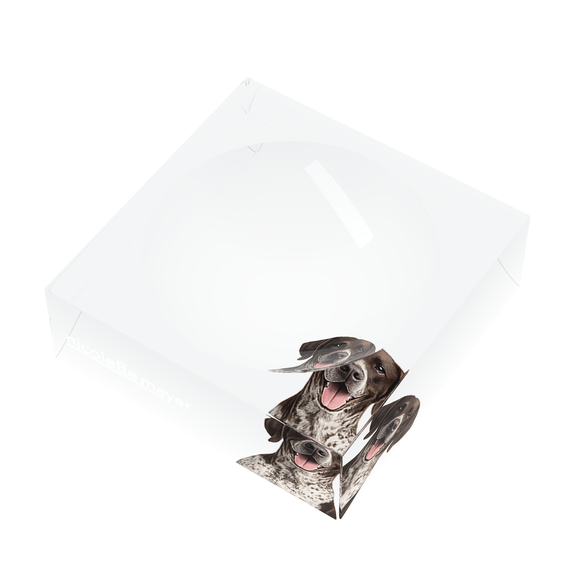 German Shorthaired Pointer Dog Acrylic Candy Catchall Dish, right three-quarter, by Nicolette Mayer