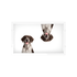 German Shorthaired Pointer Dog Acrylic Rectangle Tray, overhead, by Nicolette Mayer