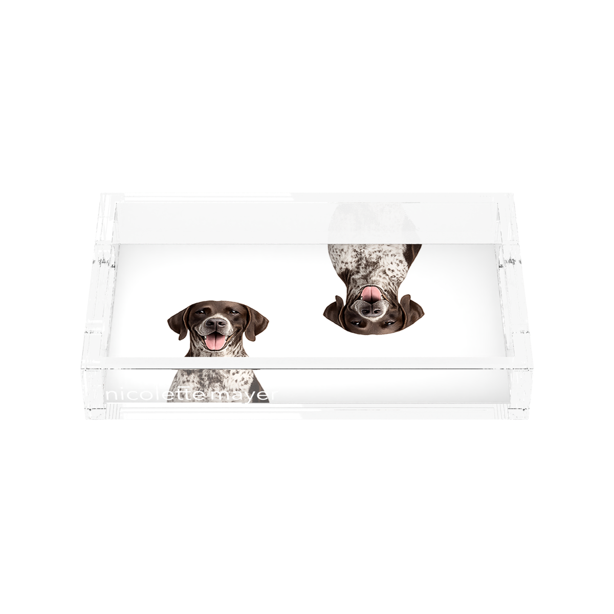 German Shorthaired Pointer Dog Acrylic Rectangle Tray, front, by Nicolette Mayer