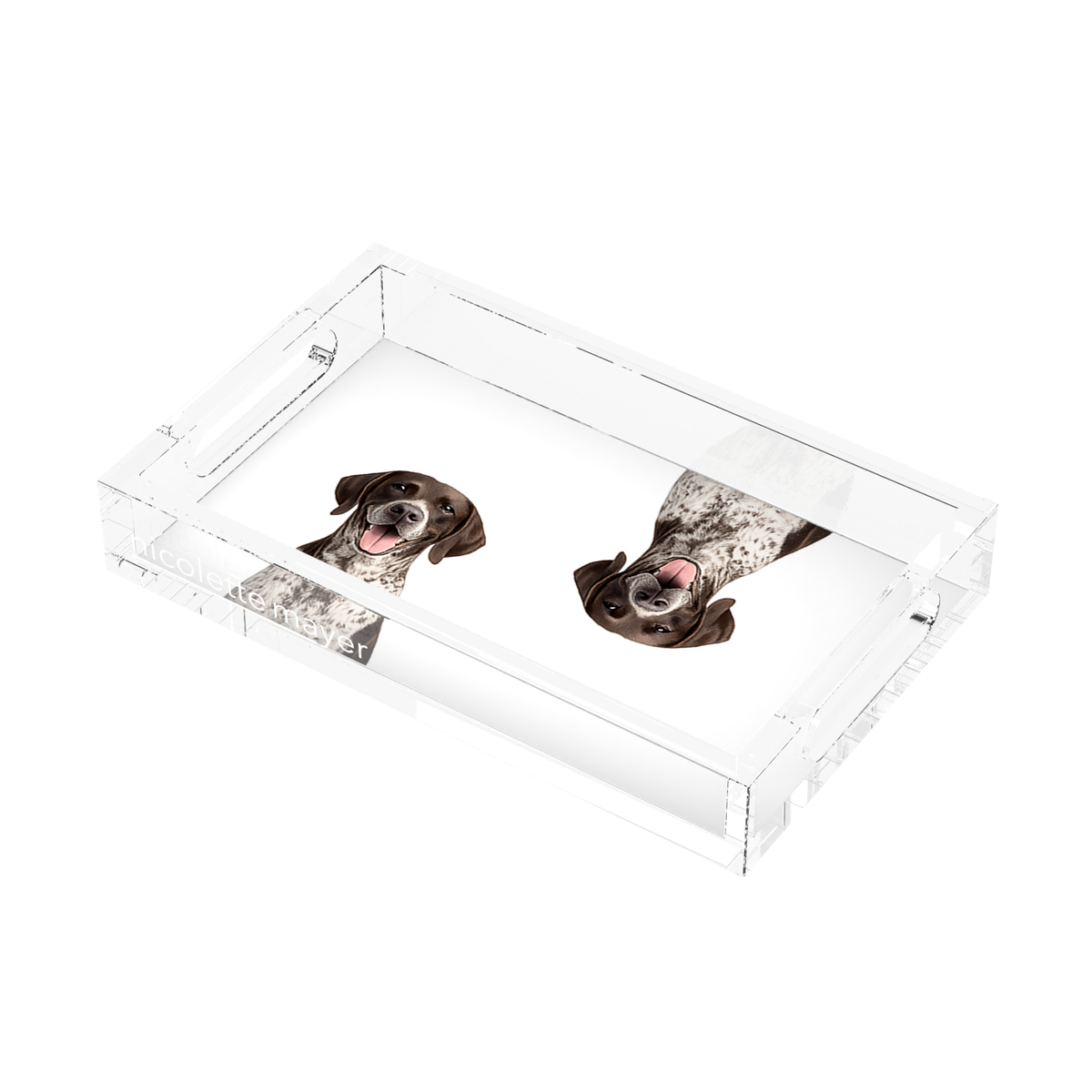 German Shorthaired Pointer Dog Acrylic Rectangle Tray, right three-quarter, by Nicolette Mayer