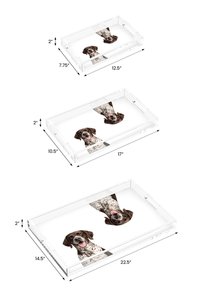 German Shorthaired Pointer Dog Acrylic Rectangle Tray, all three sizes, by Nicolette Mayer