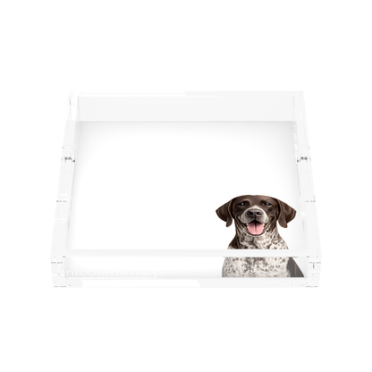 German Shorthaired Pointer Dog Acrylic Decorative Tray, front, by Nicolette Mayer