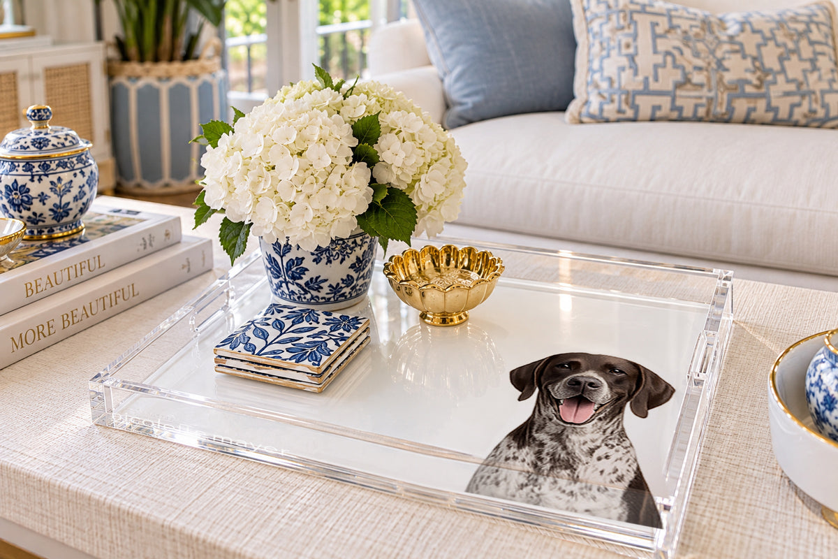 German Shorthaired Pointer Dog Acrylic Decorative Tray, on a coffee table, by Nicolette Mayer