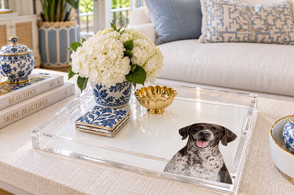 German Shorthaired Pointer Dog Acrylic Decorative Tray, on a coffee table, by Nicolette Mayer