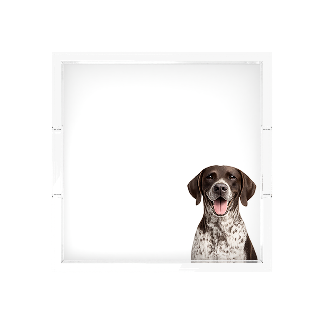 German Shorthaired Pointer Dog Acrylic Decorative Tray, 12 x 12 in., 15 x 15 in., 18 x 18 in. by Nicolette Mayer