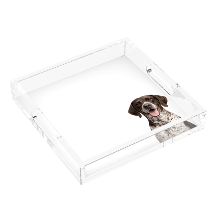German Shorthaired Pointer Dog Acrylic Decorative Tray, left three-quarter, by Nicolette Mayer