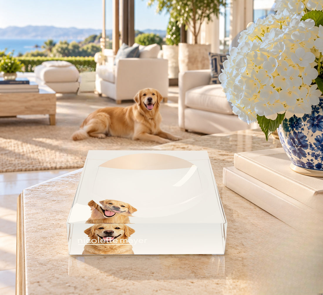 Golden Retriever Dog Acrylic Candy Catchall Dish, on a coffee table, by Nicolette Mayer