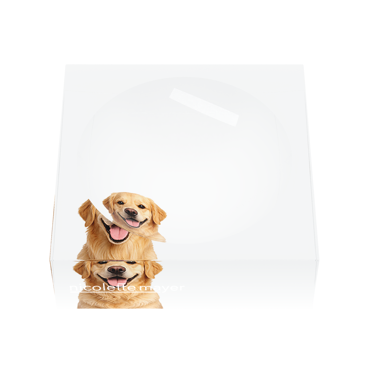 Golden Retriever Dog Acrylic Candy Catchall Dish, front, by Nicolette Mayer