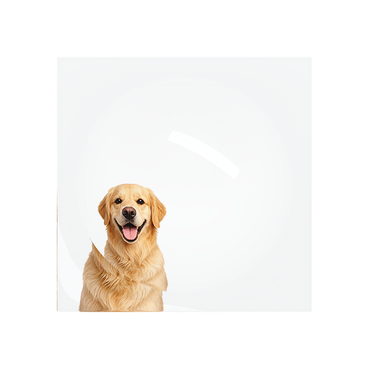 Golden Retriever Dog Acrylic Candy Catchall Dish, overhead, by Nicolette Mayer
