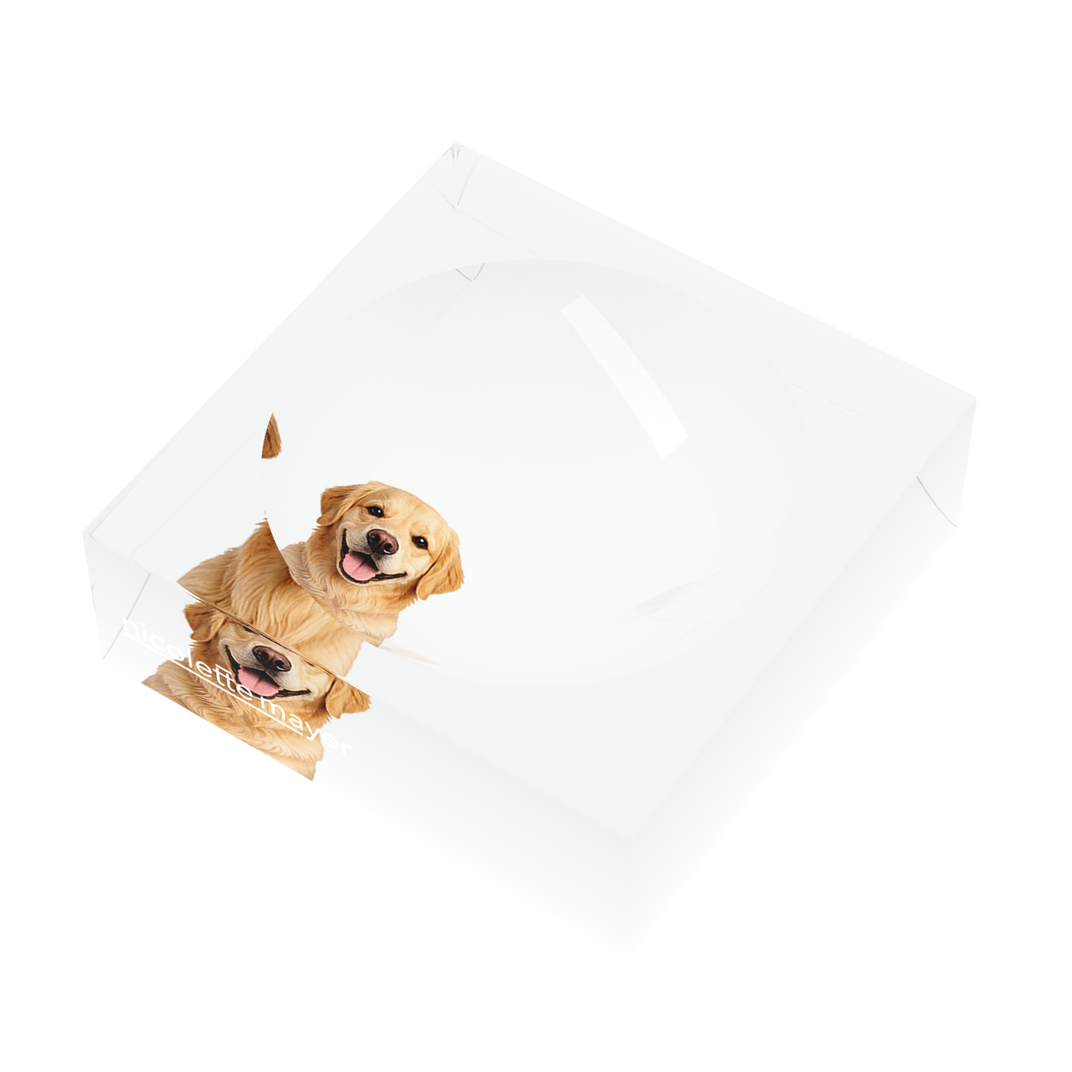 Golden Retriever Dog Acrylic Candy Catchall Dish, right three-quarter, by Nicolette Mayer