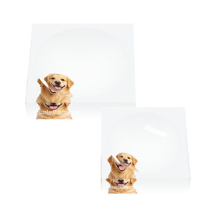 Golden Retriever Dog Acrylic Candy Catchall Dish, set of two, by Nicolette Mayer