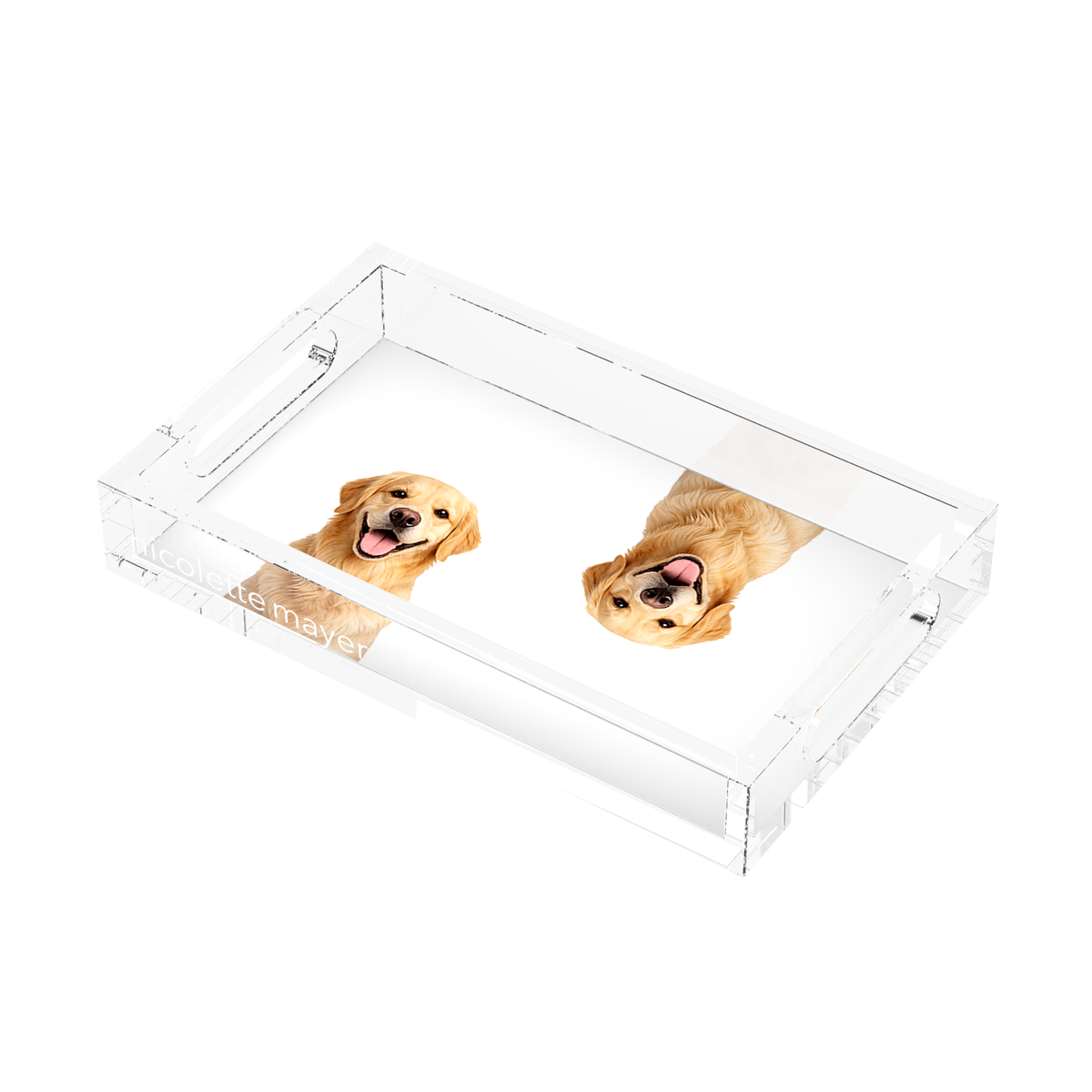 Golden Retriever Dog Acrylic Rectangle Tray, right three-quarter, by Nicolette Mayer