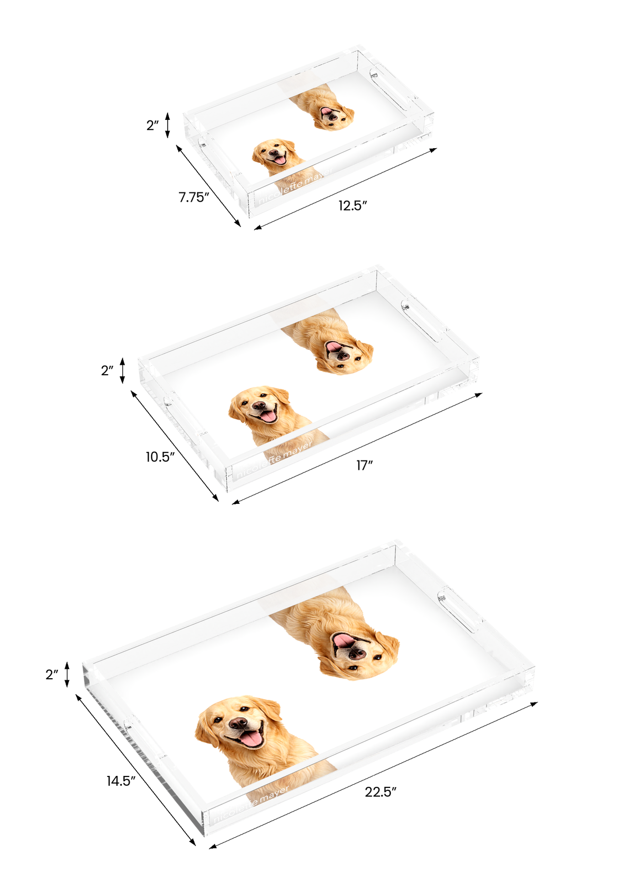 Golden Retriever Dog Acrylic Rectangle Tray, all three sizes, by Nicolette Mayer