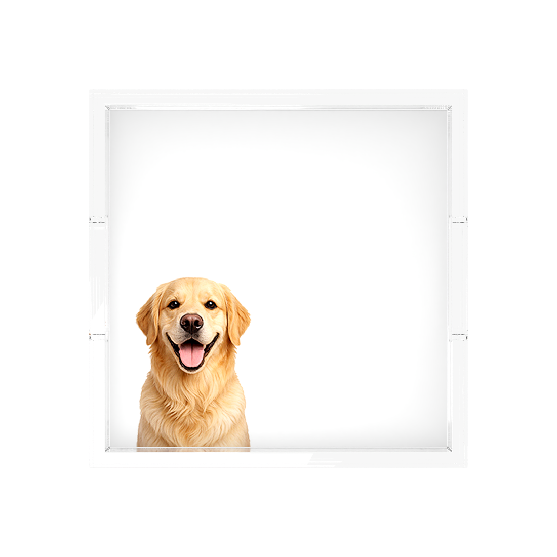 Golden Retriever Dog Acrylic Decorative Tray, 12 x 12 in., 15 x 15 in., 18 x 18 in. by Nicolette Mayer