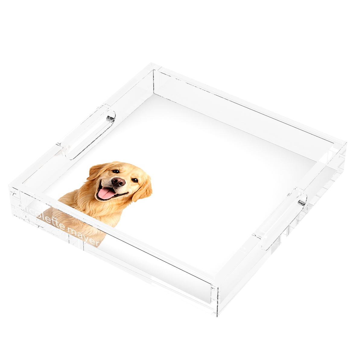 Golden Retriever Dog Acrylic Decorative Tray, right three-quarter, by Nicolette Mayer