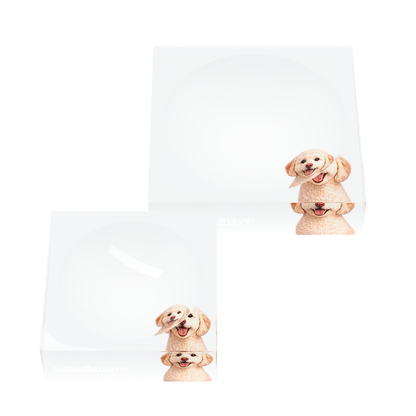 Goldendoodle Dog Acrylic Candy Catchall Dish, set of two, by Nicolette Mayer