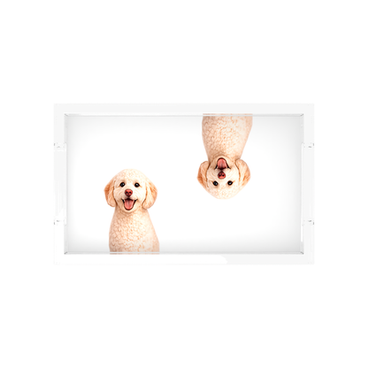 Goldendoodle Dog Acrylic Rectangle Tray, overhead, by Nicolette Mayer
