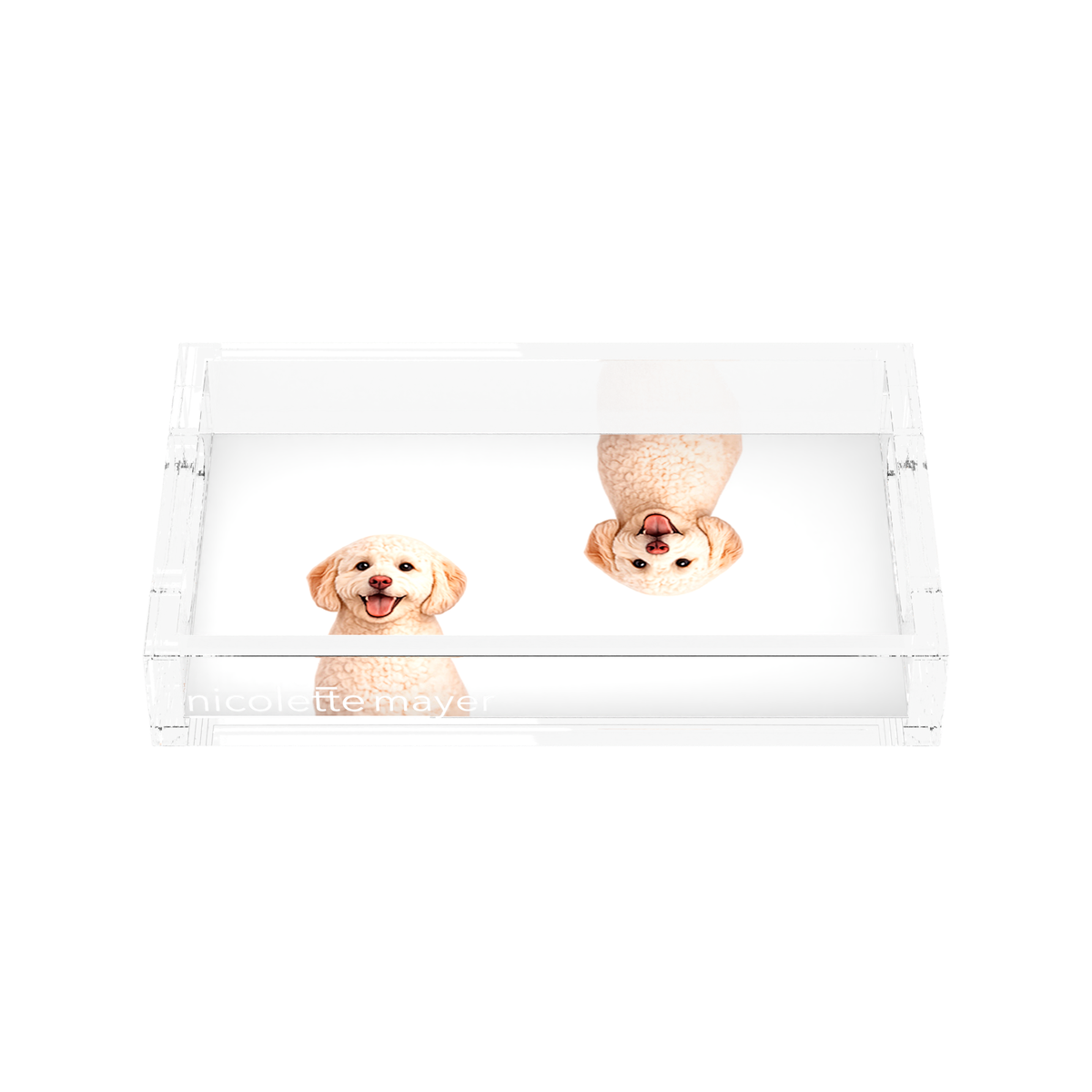 Goldendoodle Dog Acrylic Rectangle Tray, front, by Nicolette Mayer