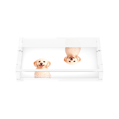 Goldendoodle Dog Acrylic Rectangle Tray, front, by Nicolette Mayer