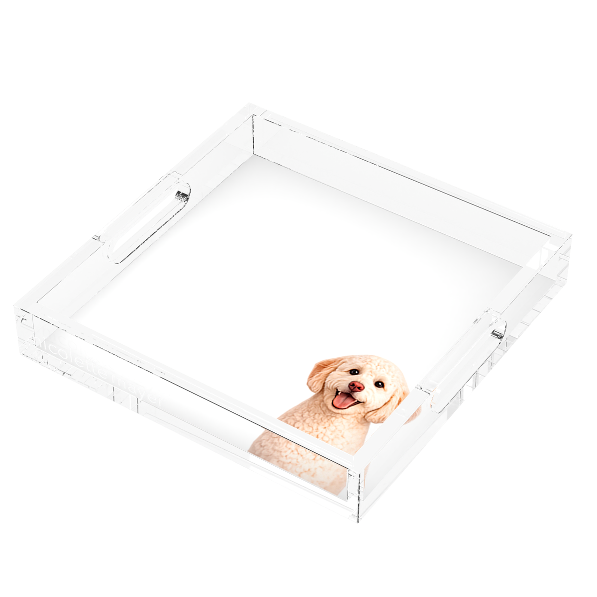Goldendoodle Dog Acrylic Decorative Tray, right three-quarter, by Nicolette Mayer