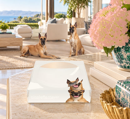 Great Dane Dog Acrylic Candy Catchall Dish, on a coffee table, by Nicolette Mayer