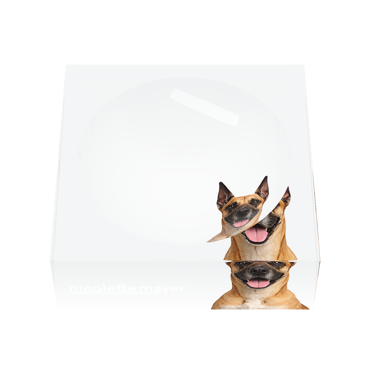 Great Dane Dog Acrylic Candy Catchall Dish, front, by Nicolette Mayer