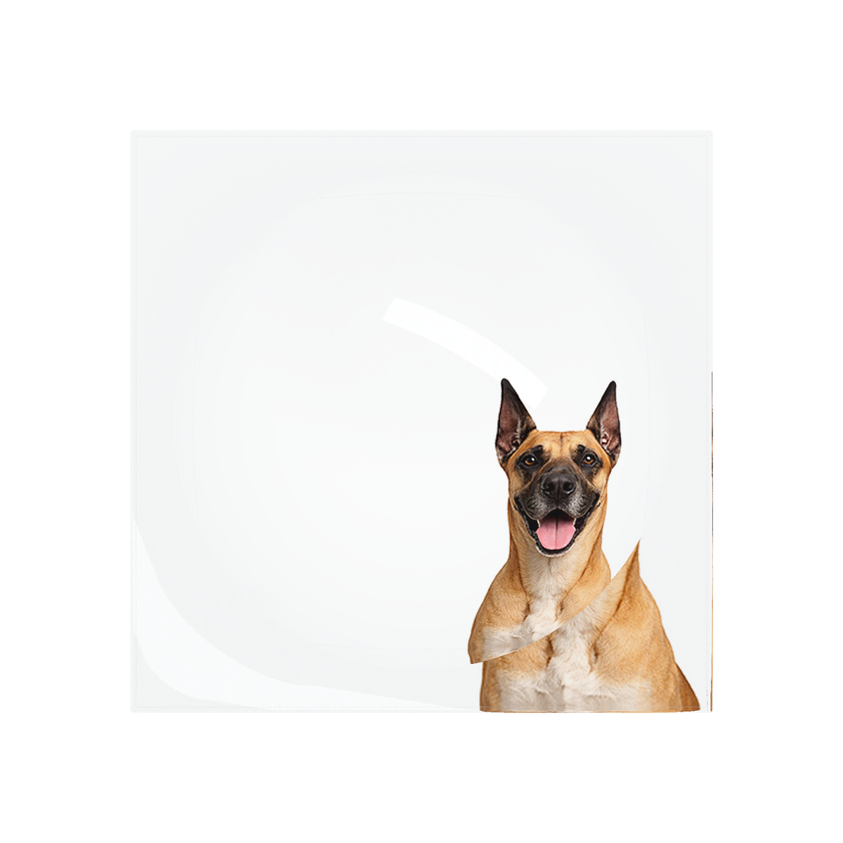 Great Dane Dog Acrylic Candy Catchall Dish, overhead, by Nicolette Mayer