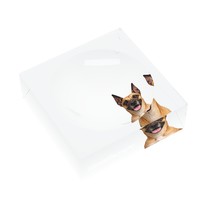 Great Dane Dog Acrylic Candy Catchall Dish, left three-quarter, by Nicolette Mayer