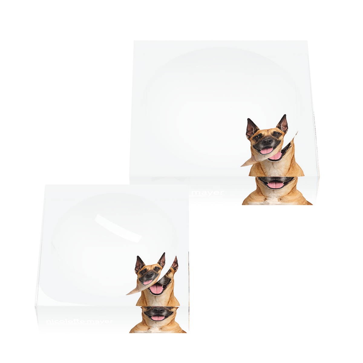 Great Dane Dog Acrylic Candy Catchall Dish, set of two, by Nicolette Mayer