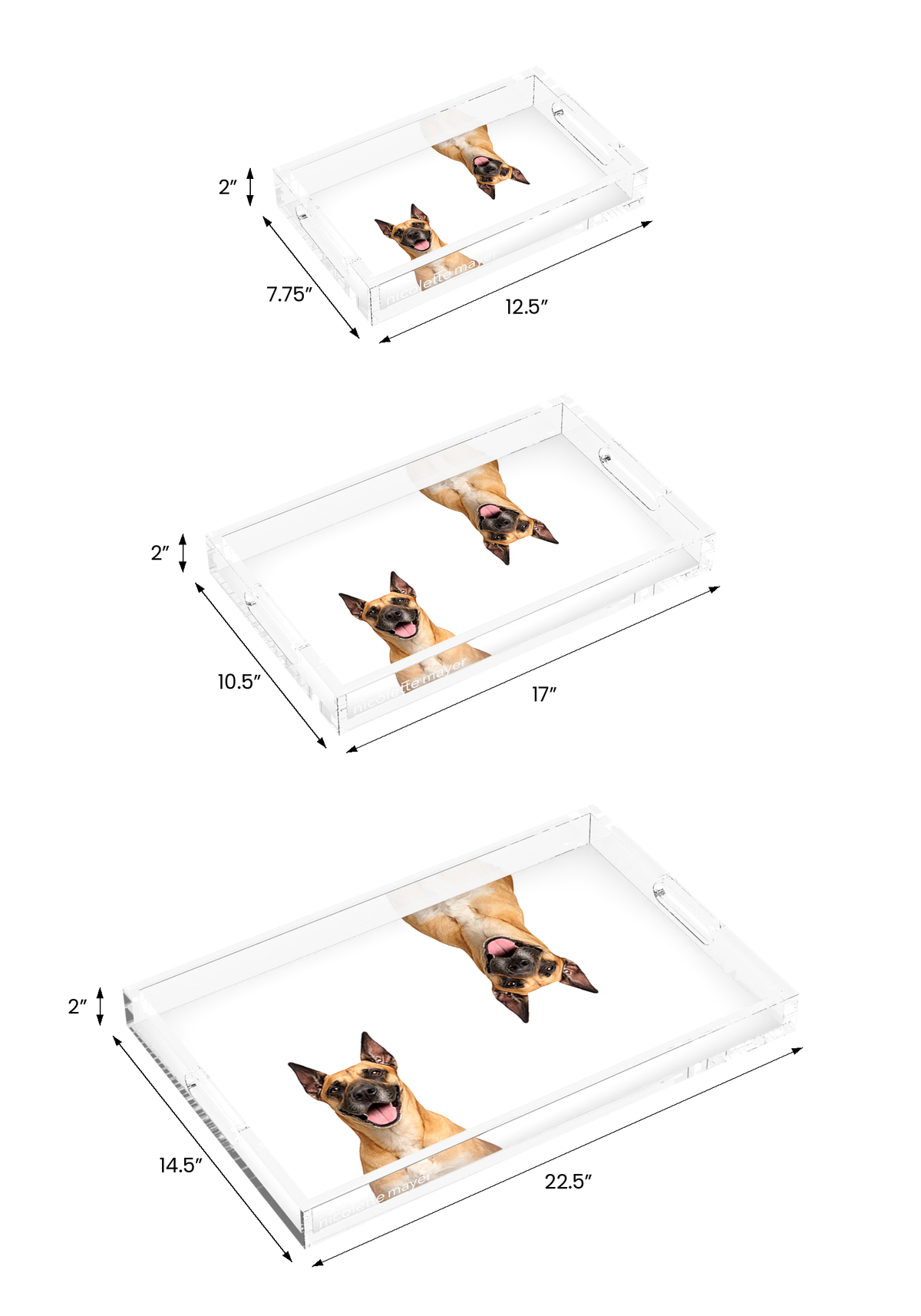Great Dane Dog Acrylic Rectangle Tray, all three sizes, by Nicolette Mayer