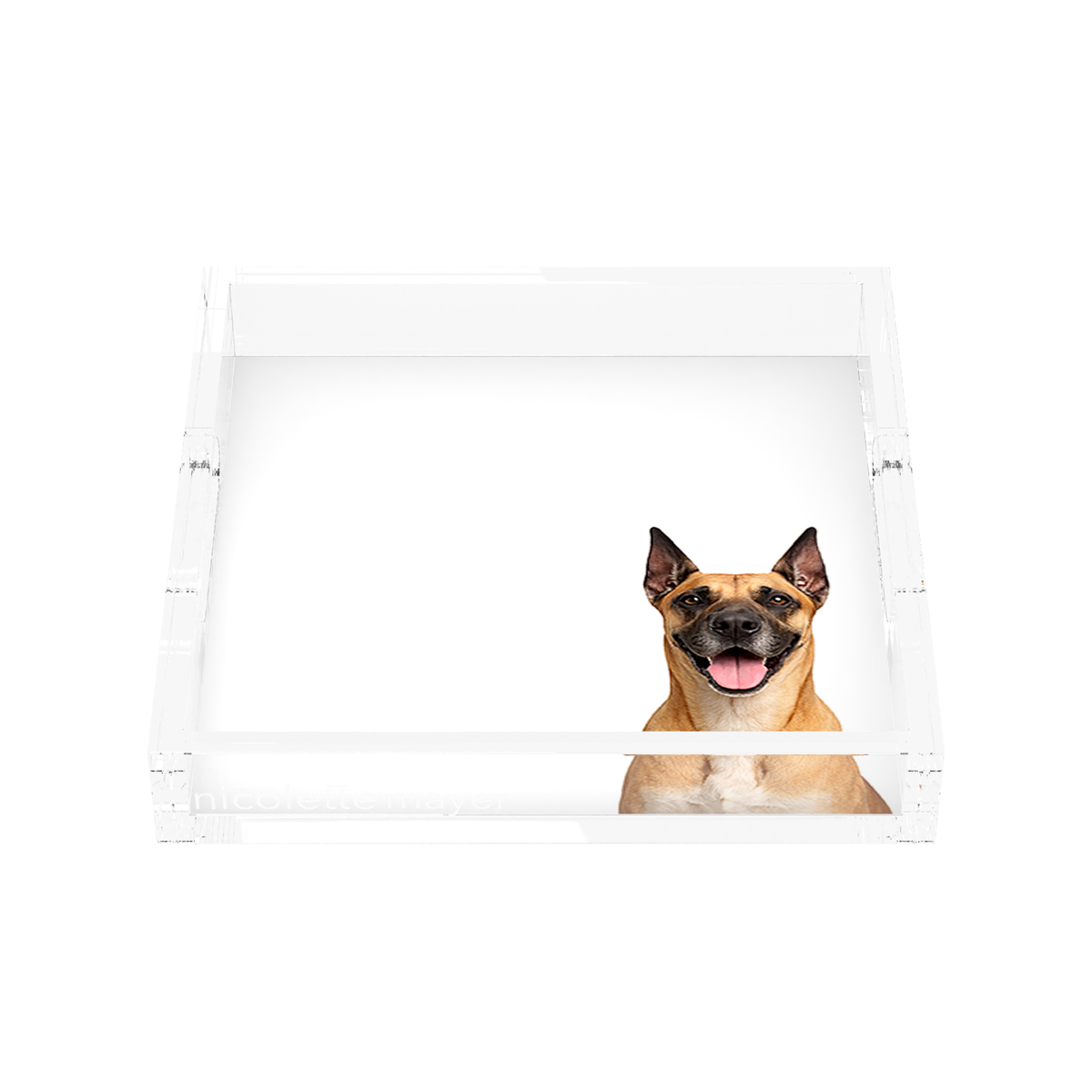 Great Dane Dog Acrylic Decorative Tray, front, by Nicolette Mayer