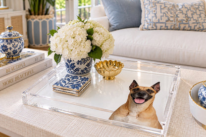 Great Dane Dog Acrylic Decorative Tray, on a coffee table, by Nicolette Mayer