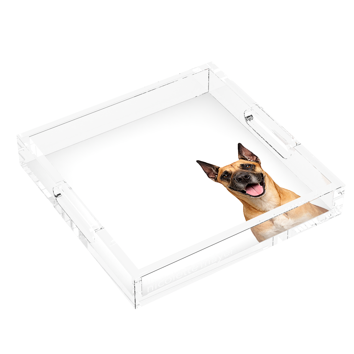 Great Dane Dog Acrylic Decorative Tray, left three-quarter, by Nicolette Mayer